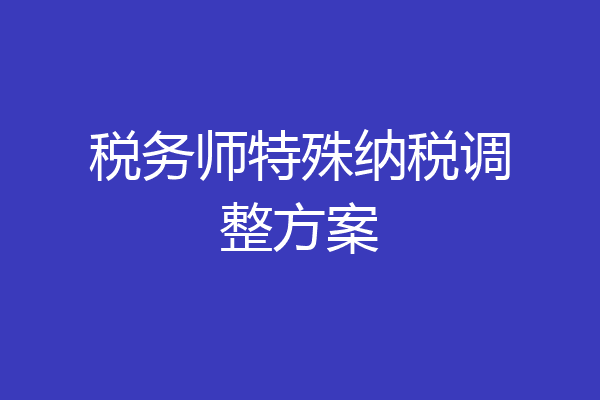 税务师特殊纳税调整方案