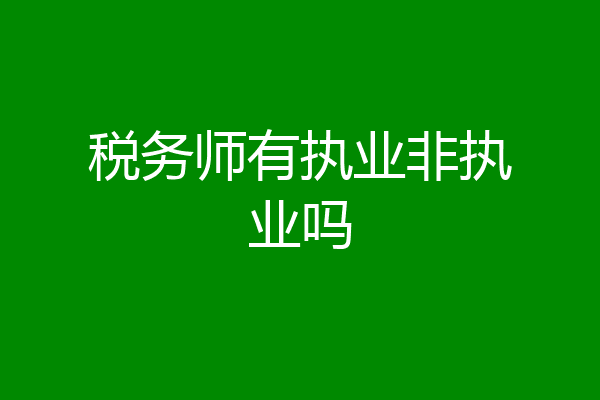 税务师有执业非执业吗