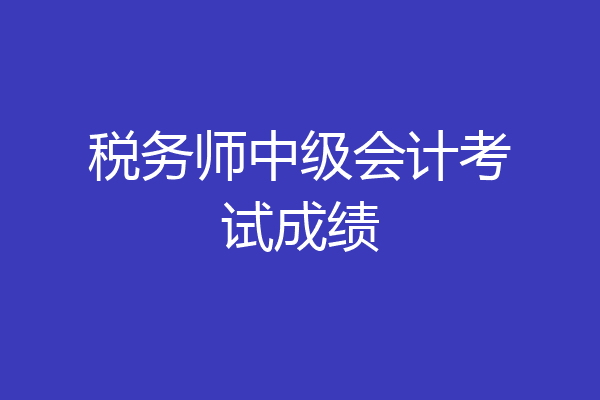 税务师中级会计考试成绩