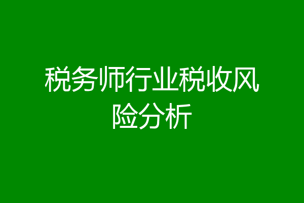 税务师行业税收风险分析