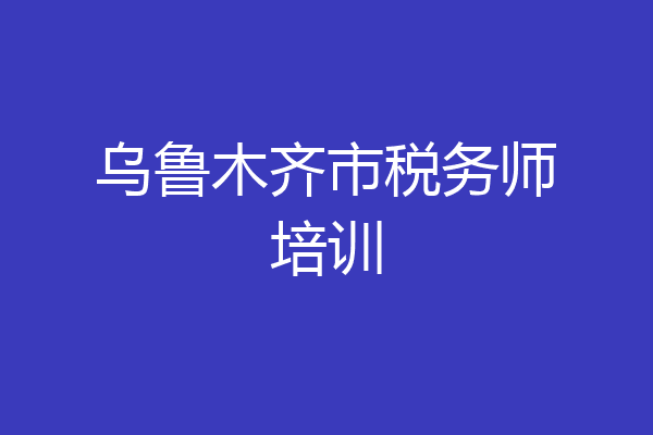 乌鲁木齐市税务师培训