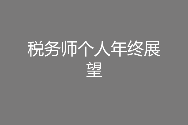 税务师个人年终展望