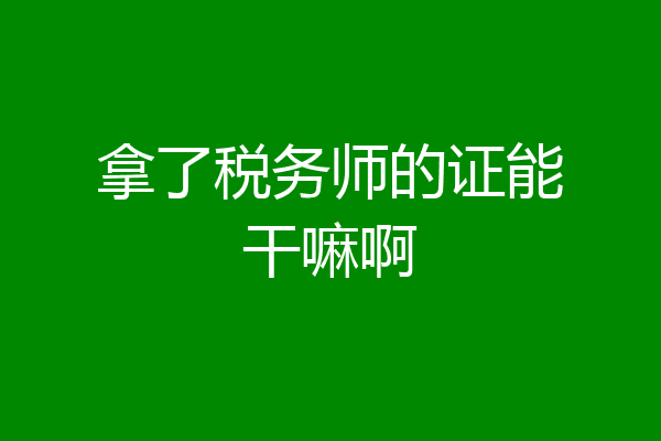 拿了税务师的证能干嘛啊