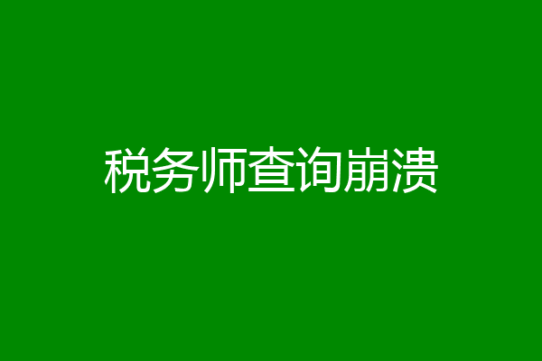 税务师查询崩溃