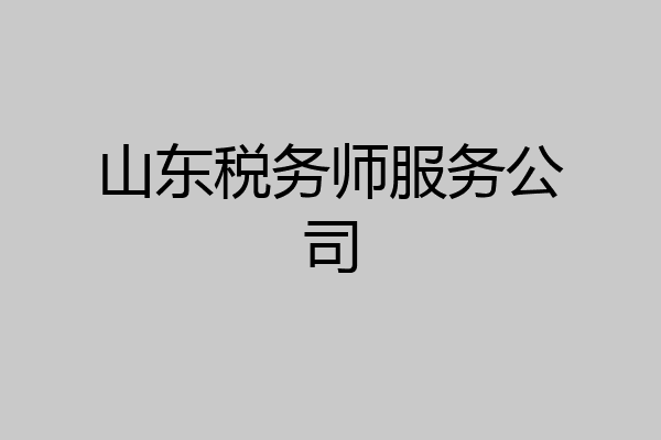 山东税务师服务公司