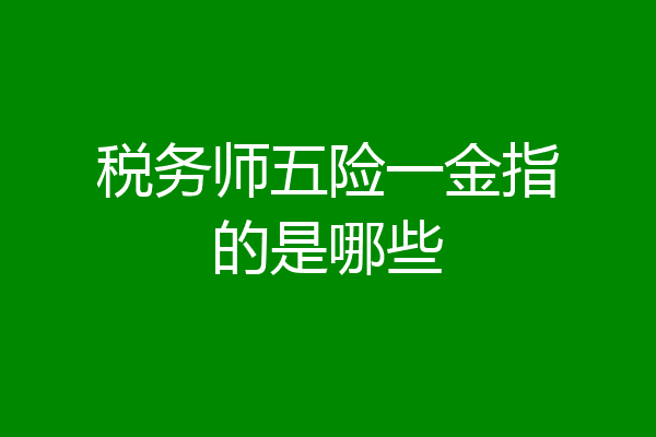 税务师五险一金指的是哪些
