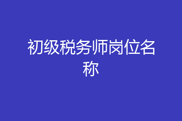 初级税务师岗位名称