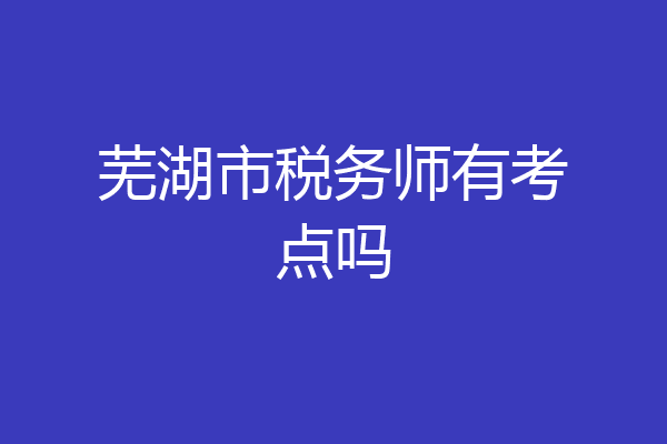 芜湖市税务师有考点吗