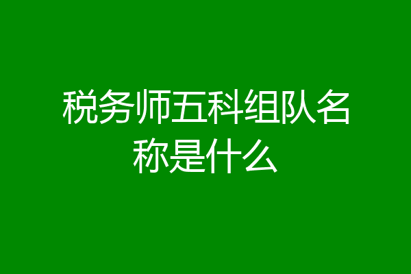 税务师五科组队名称是什么