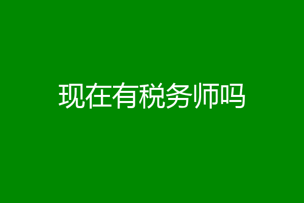现在有税务师吗