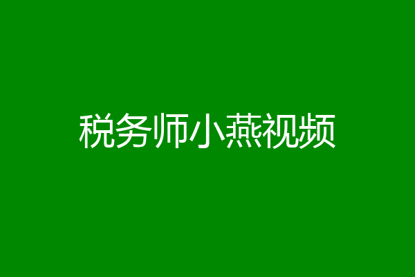 税务师小燕视频