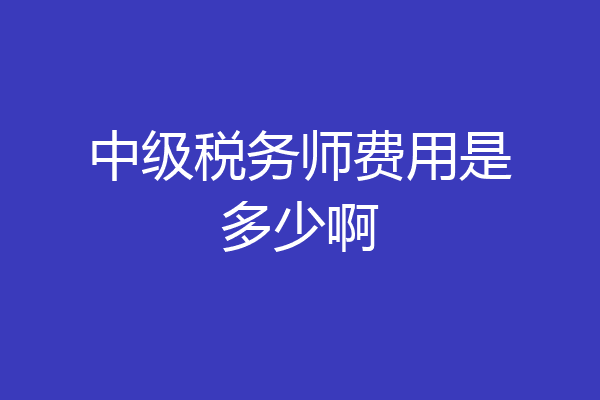 中级税务师费用是多少啊