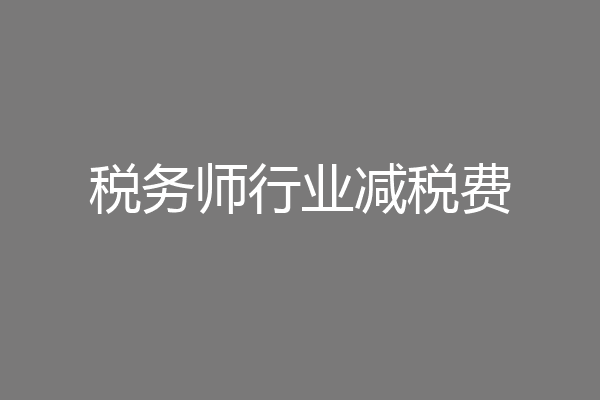 税务师行业减税费
