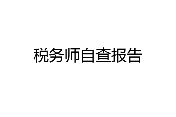 税务师自查报告