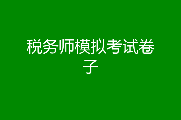 税务师模拟考试卷子