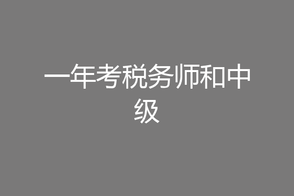 一年考税务师和中级