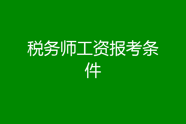 税务师工资报考条件