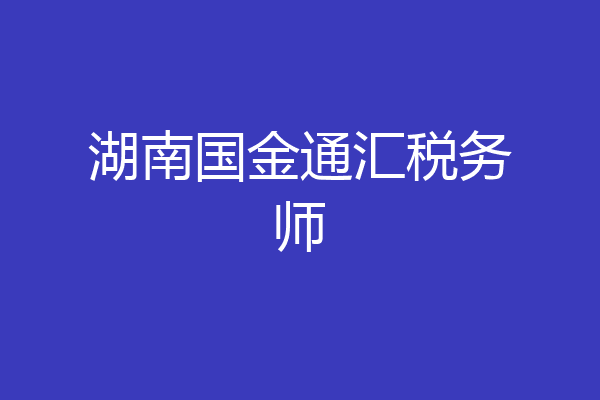 湖南国金通汇税务师