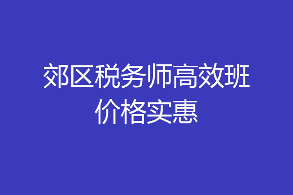 郊区税务师高效班价格实惠