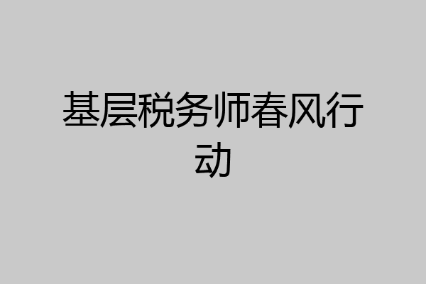 基层税务师春风行动