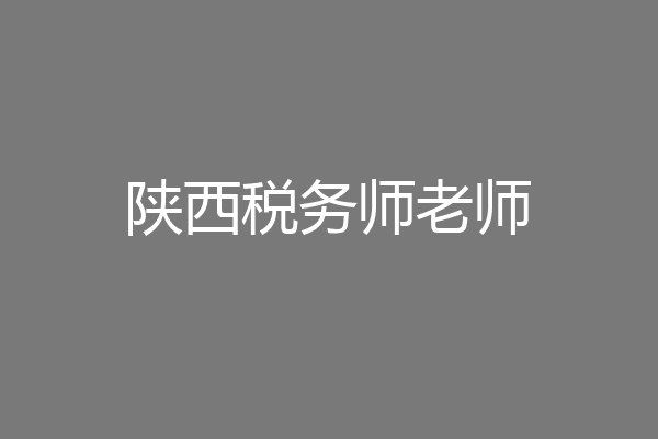 陕西税务师老师