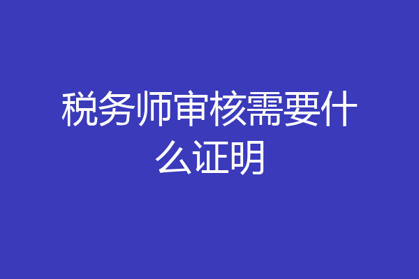 税务师审核需要什么证明