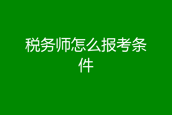 税务师怎么报考条件