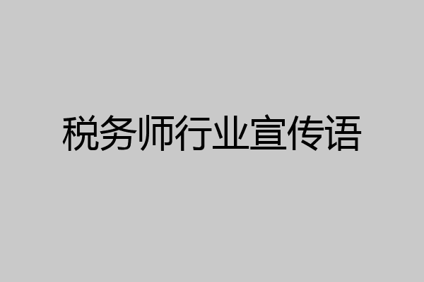 税务师行业宣传语