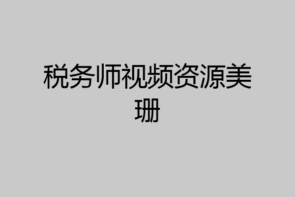 税务师视频资源美珊