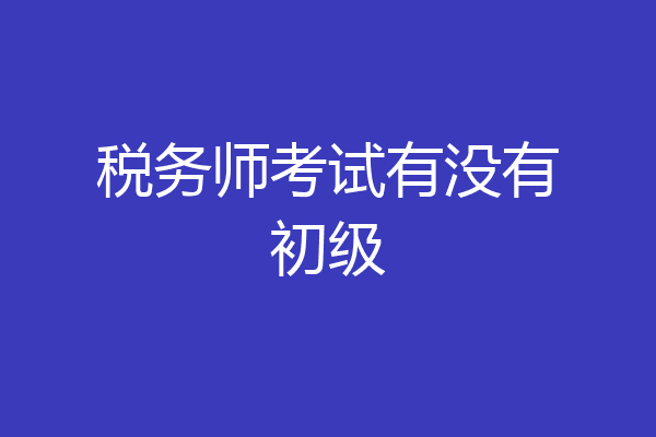 税务师考试有没有初级