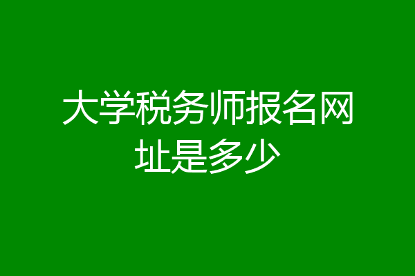 大学税务师报名网址是多少