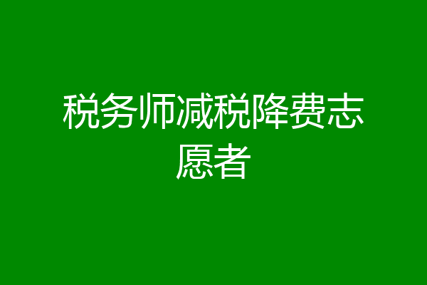 税务师减税降费志愿者