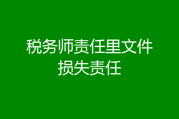 税务师责任里文件损失责任