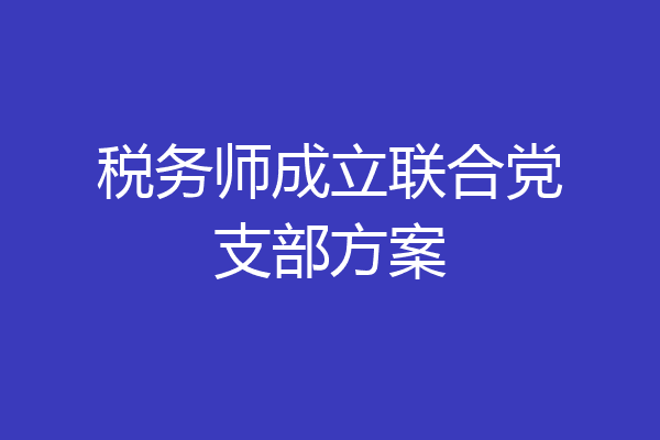 税务师成立联合党支部方案