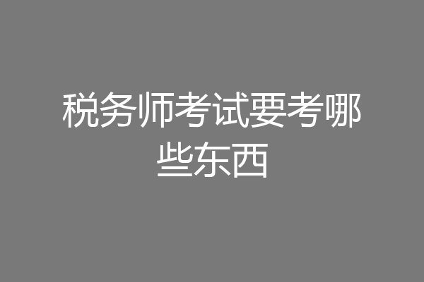 税务师考试要考哪些东西