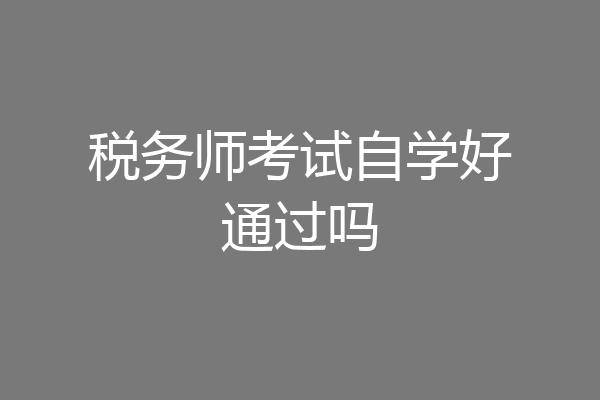 税务师考试自学好通过吗