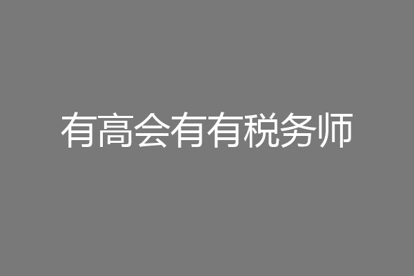 有高会有有税务师