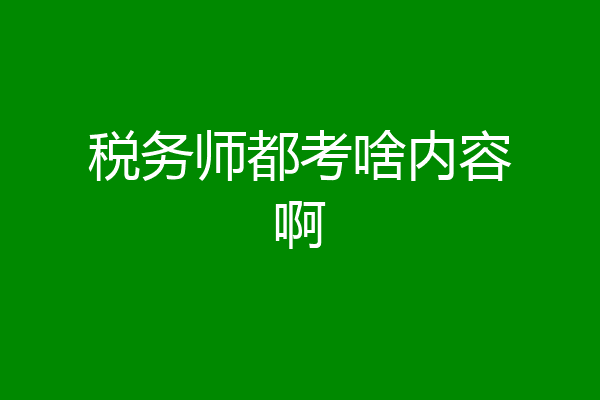 税务师都考啥内容啊