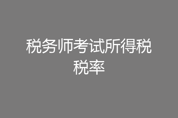 税务师考试所得税税率