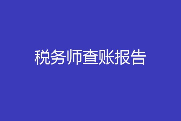 税务师查账报告