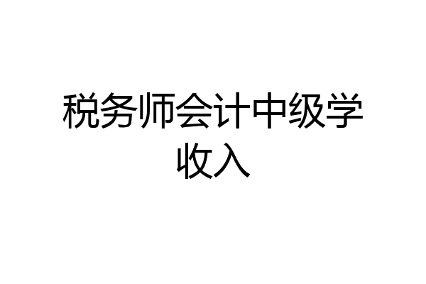 税务师会计中级学收入