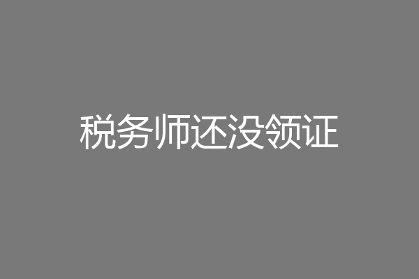 税务师还没领证