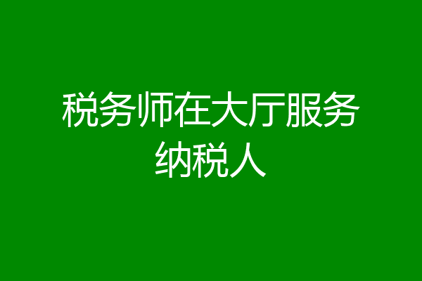 税务师在大厅服务纳税人