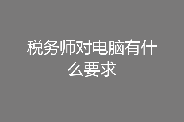 税务师对电脑有什么要求