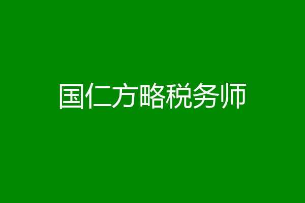 国仁方略税务师