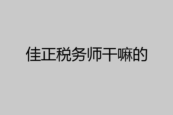 佳正税务师干嘛的