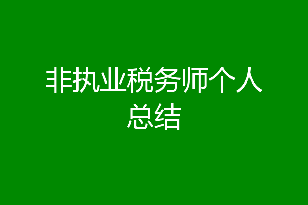 非执业税务师个人总结