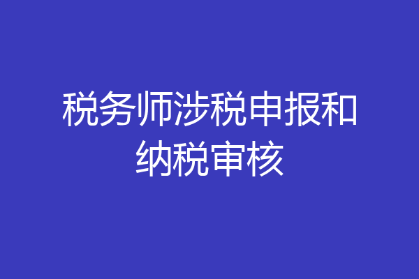 税务师涉税申报和纳税审核
