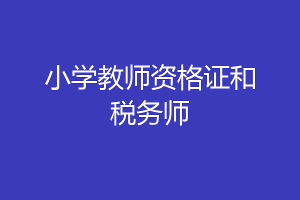 小学教师资格证和税务师