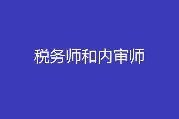 税务师和内审师